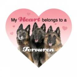 My Heart Belongs To A Belgian Tervuren - Heart Magnet
