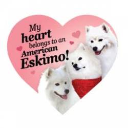 My Heart Belongs To An American Eskimo - Heart Magnet