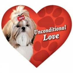 Shih Tzu Unconditional Love - Heart Magnet