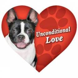 Boston Terrier Unconditional Love - Heart Magnet