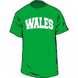 Wales Collegiate - Adult T-Shirt