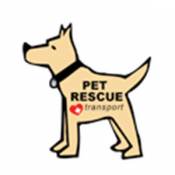 Pet Rescue Dog - Large Pet Magnets