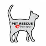 Pet Rescue Cat - Large Pet Magnets