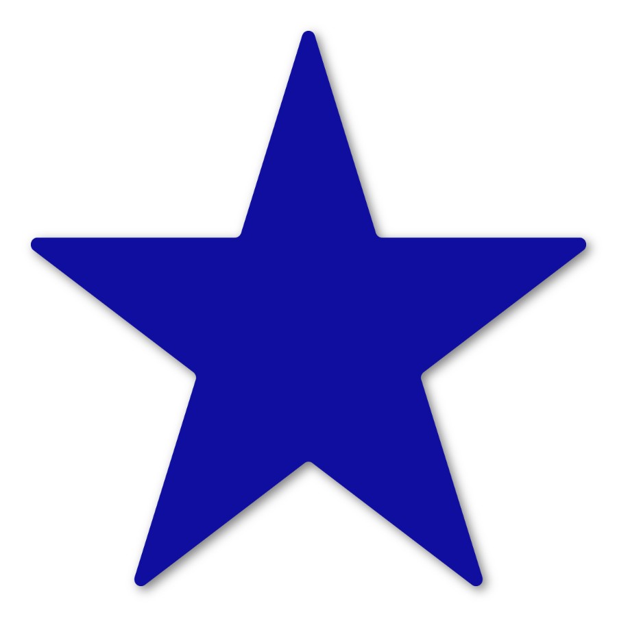 Dark Blue Star - Magnet at Sticker Shoppe