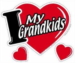 I Love My Grandkids - Magnet