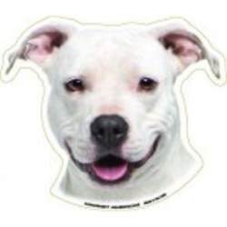 American Staffordshire Terrier - Magnet