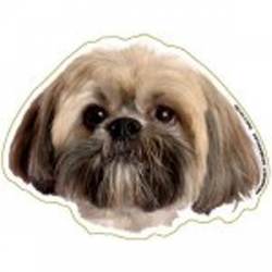 Lhasa Apso - Magnet