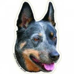 Australian Cattle Dog