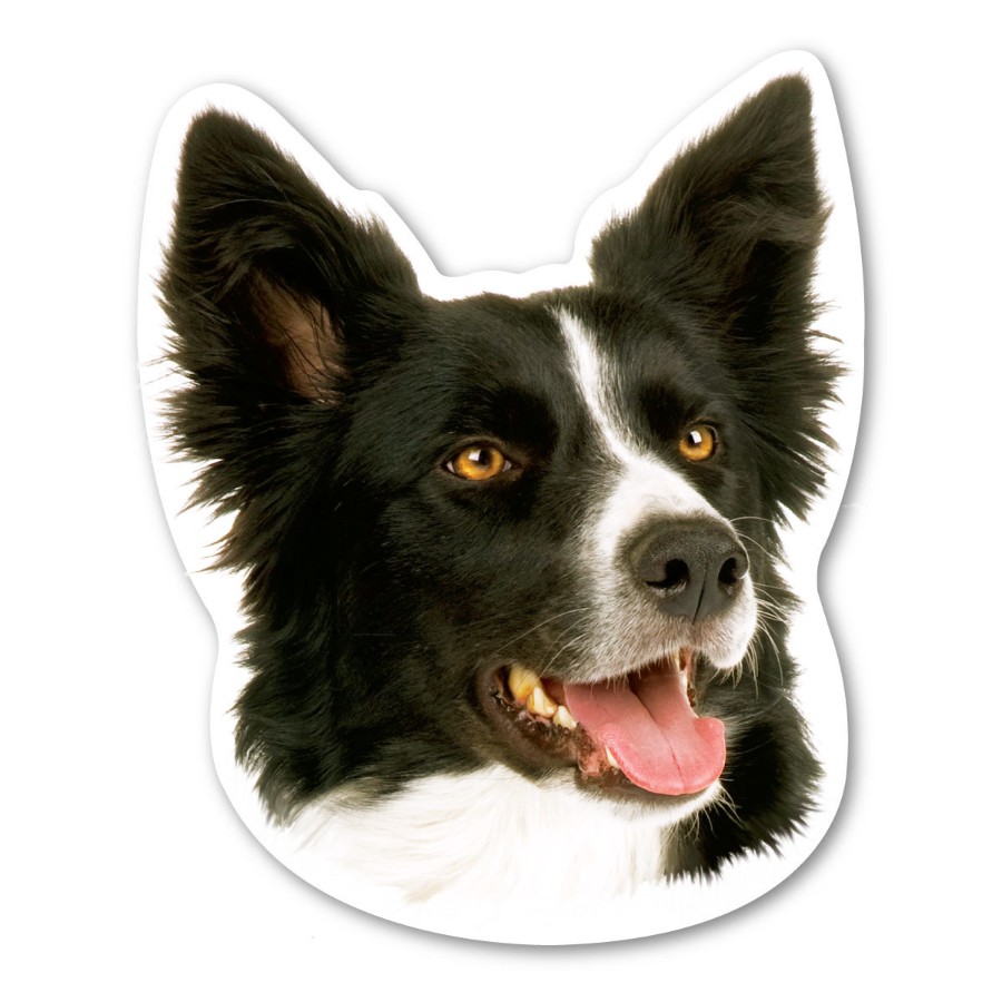 Border Collie Dog Head - Magnet at Sticker Shoppe