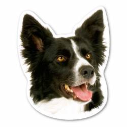 Border Collie Dog Head - Magnet