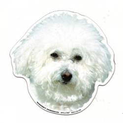 Bichon Frises - Dog Head Magnet