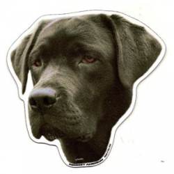 Black Lab Labrador Retriever - Dog Head Magnet
