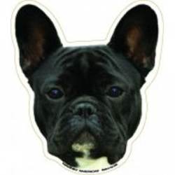 Black French Bulldog - Magnet