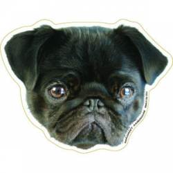 Pug Sticker Pug decal Funny pug decal Pug bumper sticker Car -  Portugal