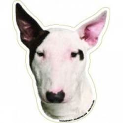 Bull Terrier - Magnet