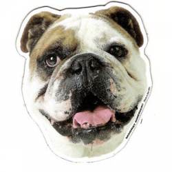 Bulldog - Magnet