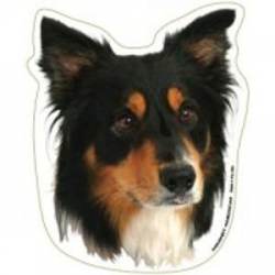 Black and White Collie - Magnet