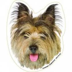 Cairn Terrier - Magnet