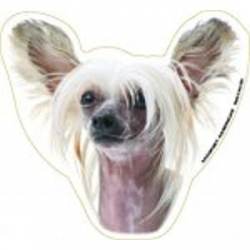 Chinese Crested - Magnet