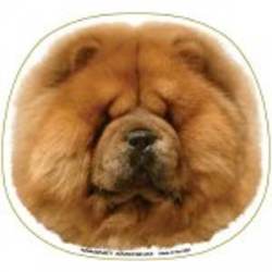 Chow Chow - Magnet