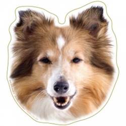 Collie - Magnet