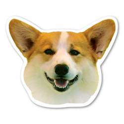 Welsh Corgi - Dog Head Magnet