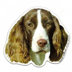 English Springer Spaniel - Magnet