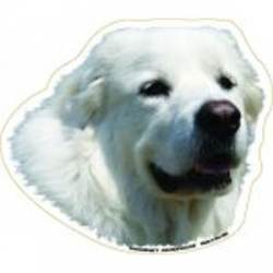 Great Pyrenees Dog Head - Magnet