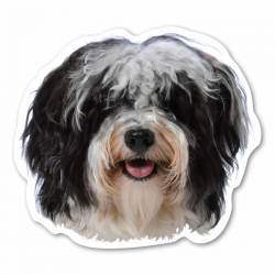 Havanese Dog Head - Magnet