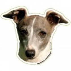 Italian Greyhound - Magnet