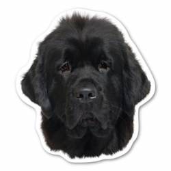 Newfoundland - Dog Head Magnet