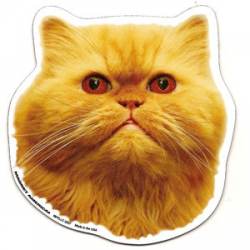 Persian Cat - Magnet