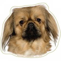 Pekingese Dog Head - Magnet