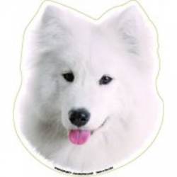 Samoyed - Dog Head Magnet