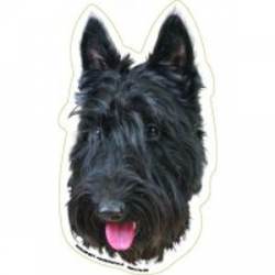 Scottish Terrier - Magnet