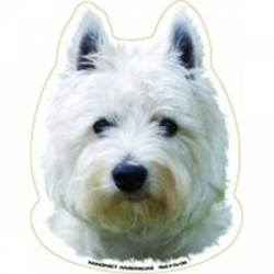 West Highland White Terrier - Magnet