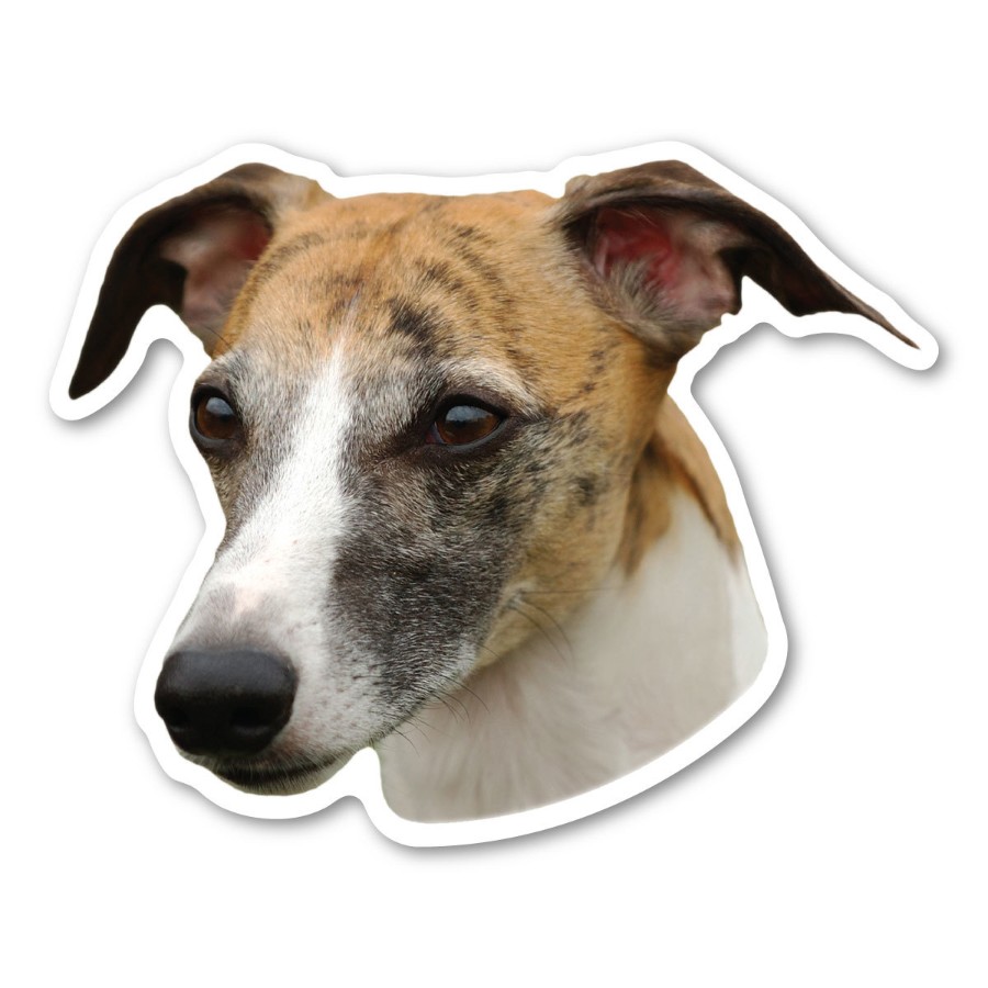 Whippet Dog Head - Magnet at Sticker Shoppe