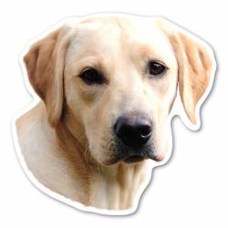 Yellow Labrador Retriever - Dog Head Magnet