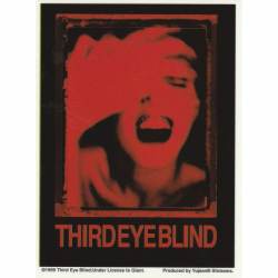 Third Eye Blind Logo - Vinyl Sticker