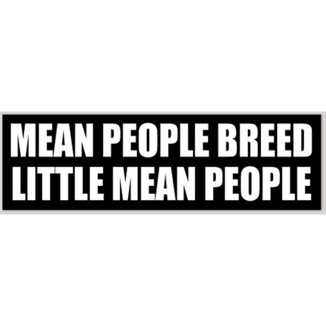 MEAN, PEOPLE ARE, MEAN! BUMPER STICKER