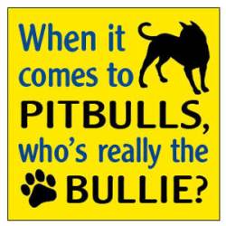 When It Comes To Pitbulls, Who's Really The Bullie - Square Cut Magnet