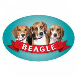 Beagle - Oval Magnet