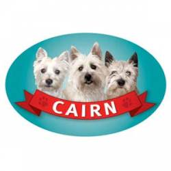 Cairn Terrier - Oval Magnet