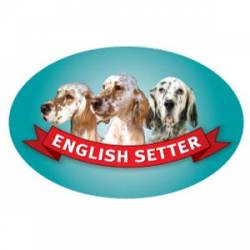 English Setter - Oval Magnet