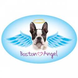 Boston Pet Angel - Oval Magnet