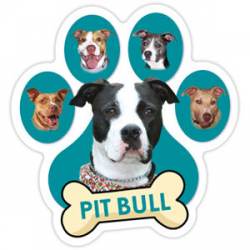 Pit Bull - Teal Paw With Bone Magnet