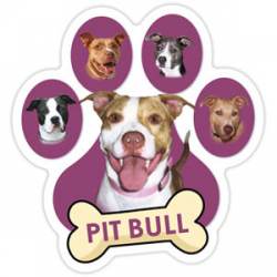 Pit Bull - Purple Paw With Bone Magnet