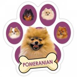 Pomeranian - Purple Paw With Bone Magnet