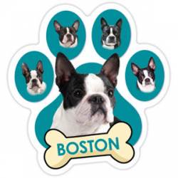 Boston - Teal Paw With Bone Magnet