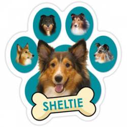 Sheltie - Teal Paw Magnet